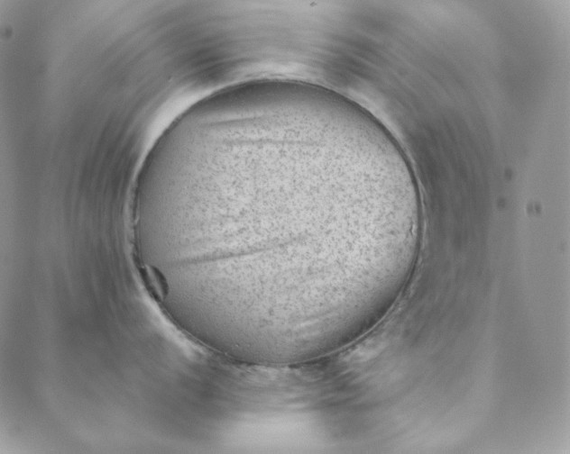 X0000088601056200706081348