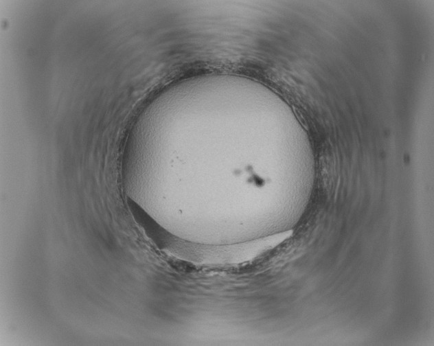 X0000088601057200706081347