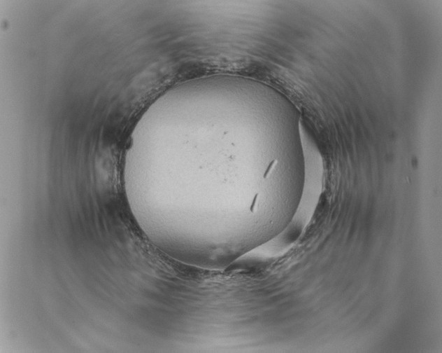 X0000088601058200706081347