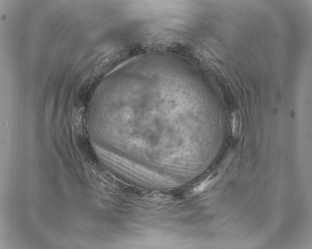 X0000088601059200706081347