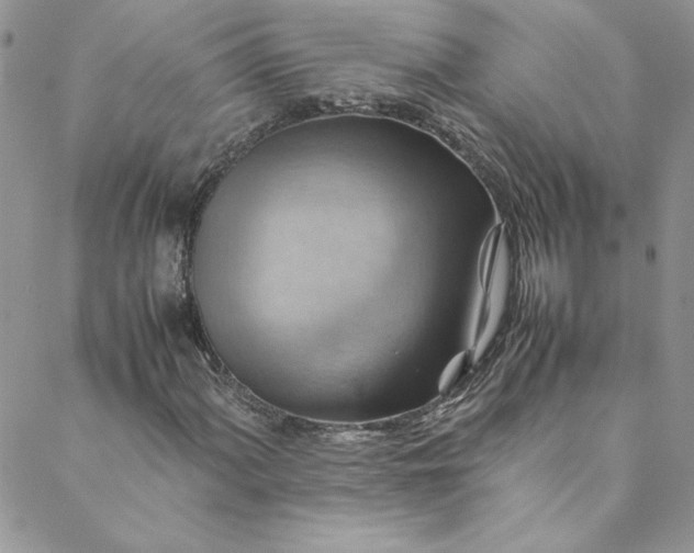 X0000088601060200706081347