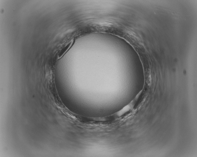 X0000088601061200706081347