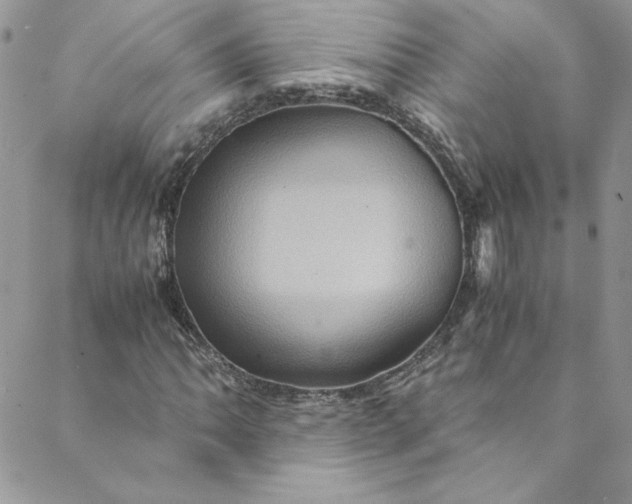 X0000088601062200706081347