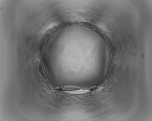 X0000088601063200706081347