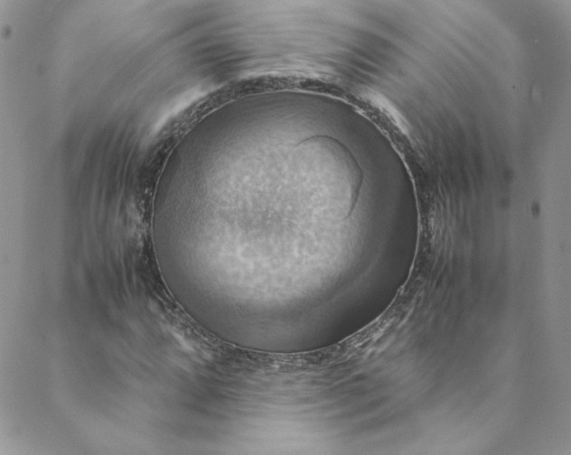 X0000088601064200706081347