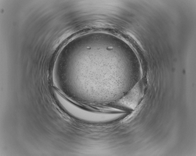 X0000088601065200706081347