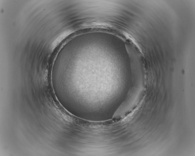 X0000088601066200706081347