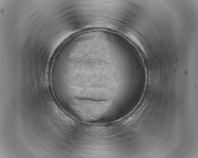 X0000088601068200706081347