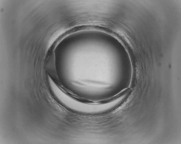 X0000088601069200706081347