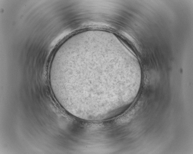 X0000088601074200706081347