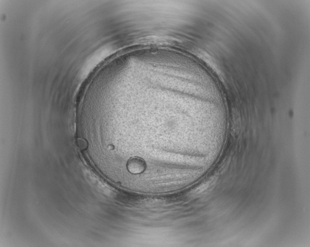 X0000088601075200706081347