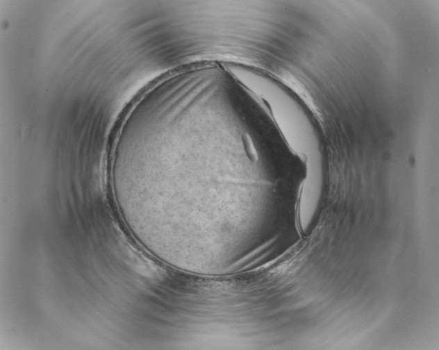 X0000088601076200706081347