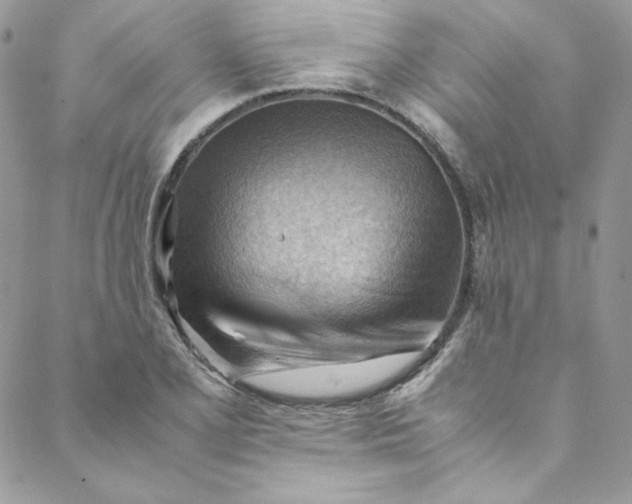 X0000088601077200706081347