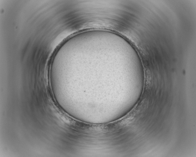 X0000088601078200706081347