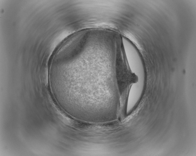 X0000088601079200706081347