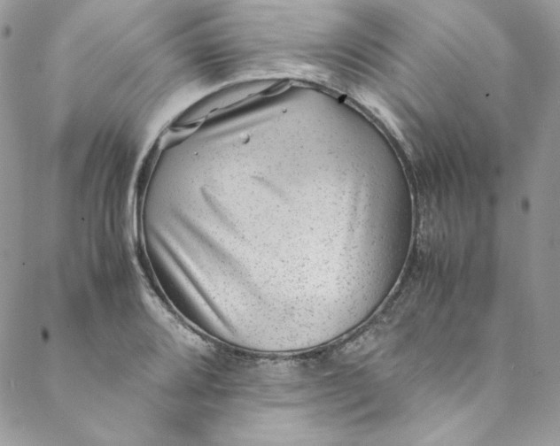 X0000088601080200706081347