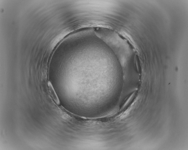 X0000088601081200706081347