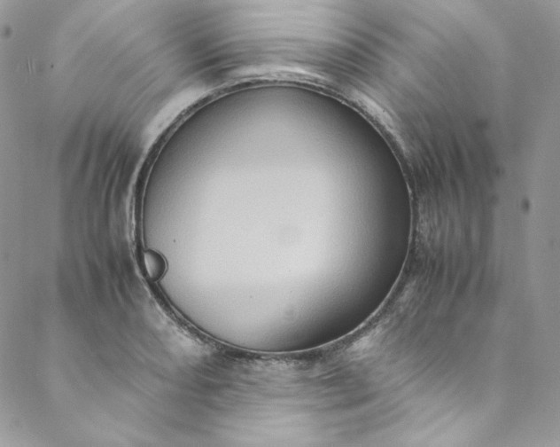 X0000088601082200706081347