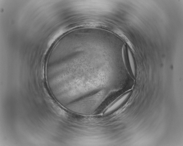 X0000088601083200706081347