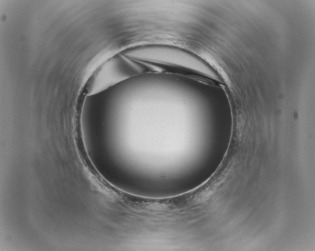 X0000088601085200706081347