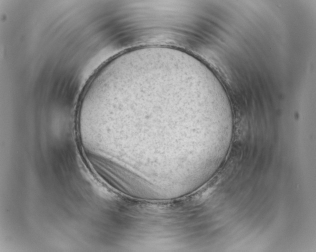 X0000088601086200706081347