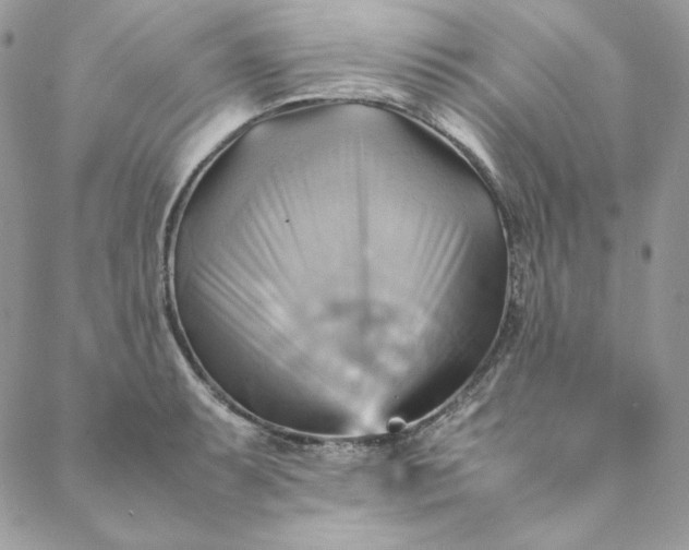 X0000088601087200706081347