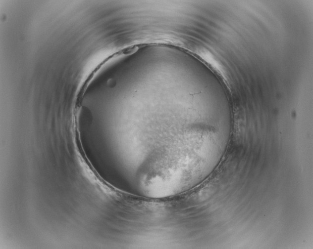 X0000088601088200706081346