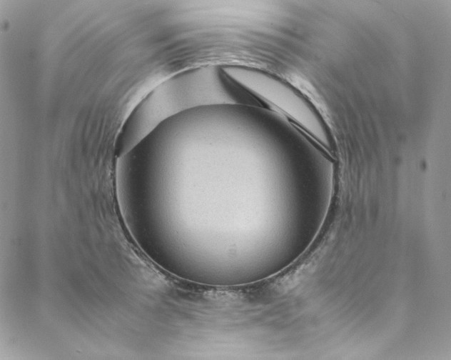 X0000088601089200706081346