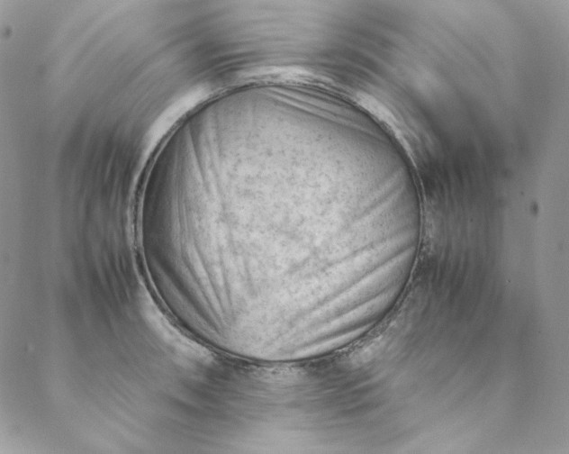 X0000088601090200706081346