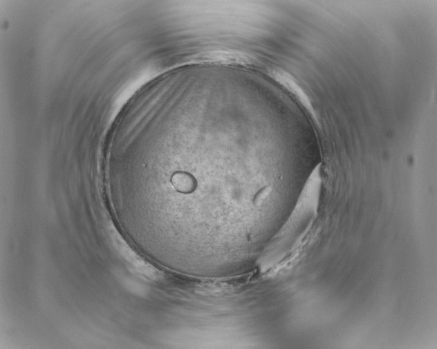 X0000088601091200706081346