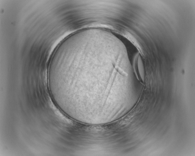 X0000088601092200706081346