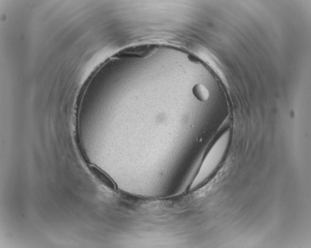 X0000088601093200706081346