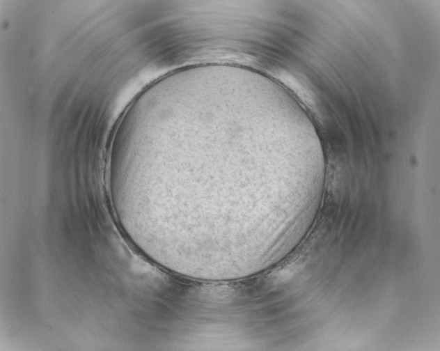 X0000088601094200706081346