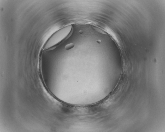 X0000088601095200706081346