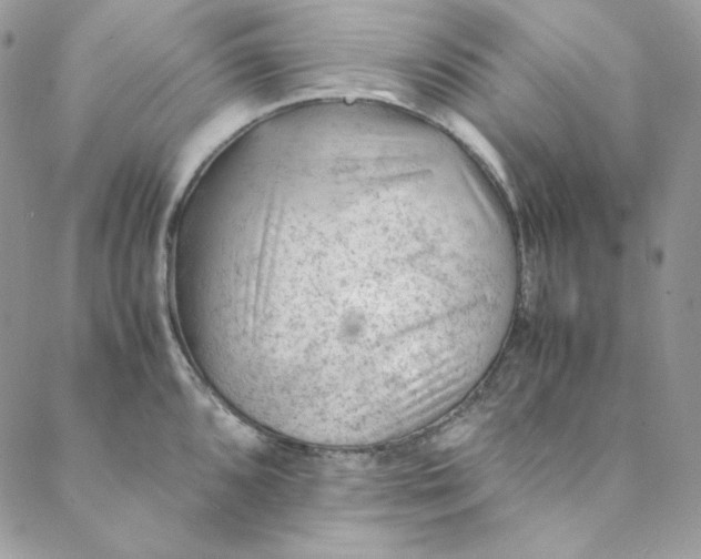 X0000088601096200706081346