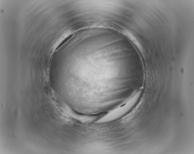 X0000088601097200706081346