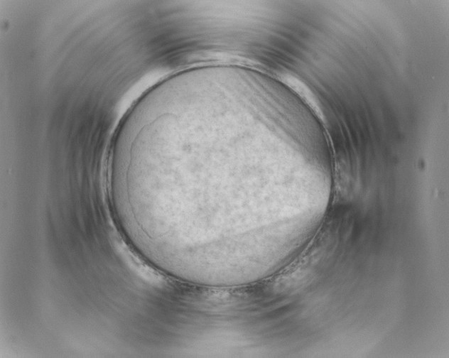 X0000088601098200706081346