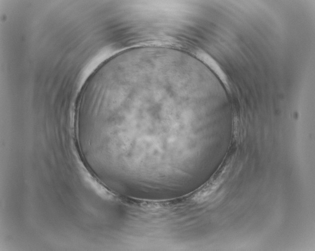 X0000088601099200706081346