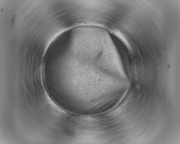 X0000088601100200706081346