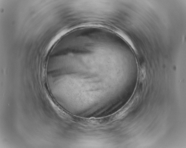 X0000088601101200706081346