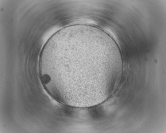 X0000088601103200706081346