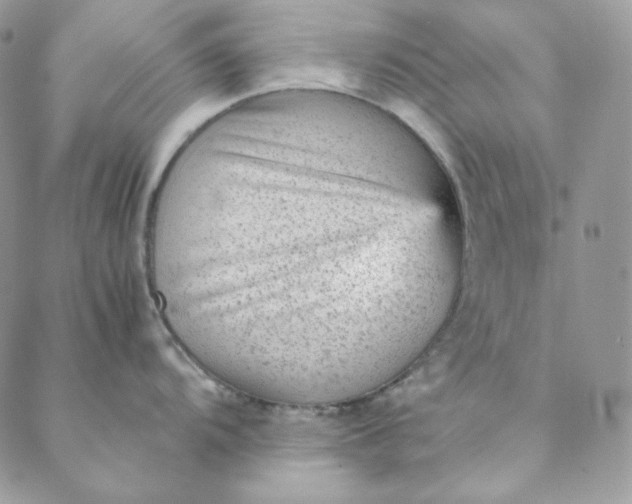 X0000088601104200706081346