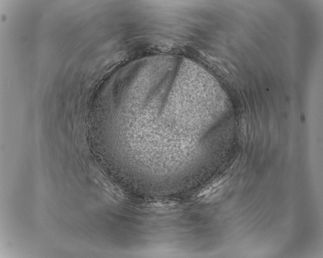 X0000088601105200706081345