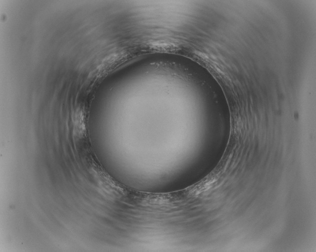 X0000088601106200706081345