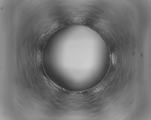 X0000088601107200706081345