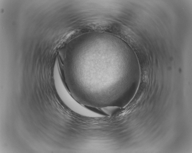 X0000088601108200706081346