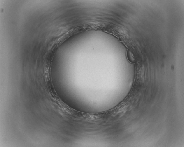 X0000088601109200706081346