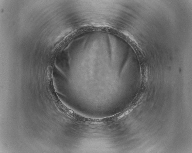 X0000088601110200706081346