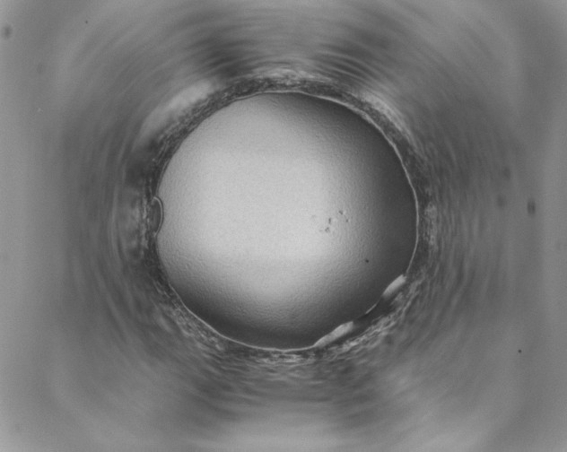 X0000088601111200706081346