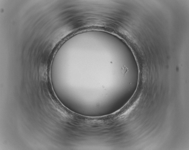 X0000088601113200706081346